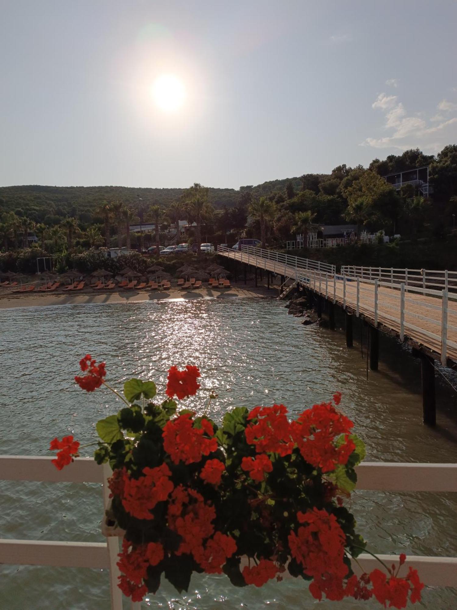 Plazhi Gjeneralit - Small Cabins - Bungalows - Apartaments - Villas - Suite Kavaje Εξωτερικό φωτογραφία